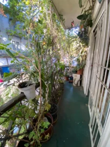 Venta Impecable Apartamento tipo Casa, 2 Dormitorios y 2 Patios en Centro