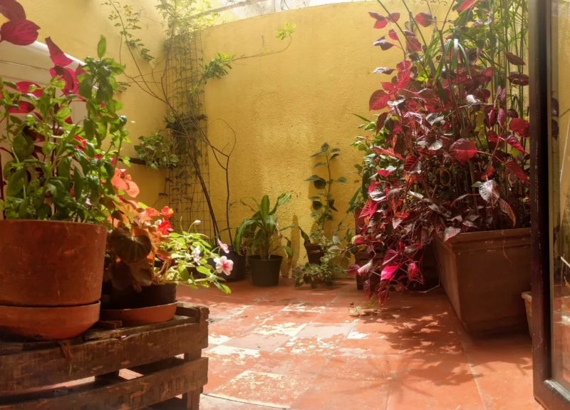 Planta Baja/2 Dorm/54m2/patio/malvin Sur