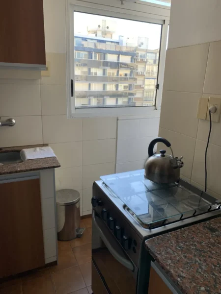 Frente/Piso 8/60m2/2 Dorm/Balcon/sobre Av. Brasil, Pocitos