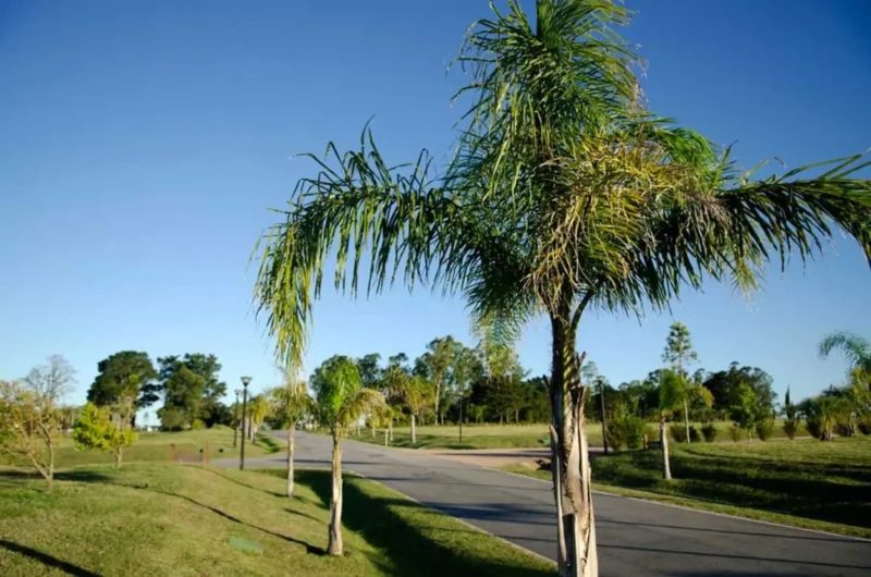 Gran Casa en Cumbres de Carrasco/1000m2/3 dorm/2 baños/Cocherax2/Piscina