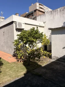 Gran Casa Duplex/221m2/Cochera/3dorm/2 baños/jardin&patio/Parque Batlle