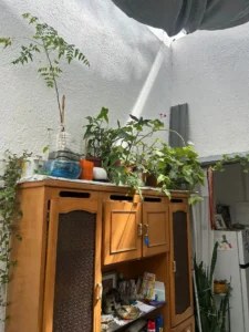 VENTA CON RENTA/45m2/2 dormitorios/sobre Av. Burgues, Atahualpa