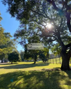 Venta Casa Independiente En Parque Batlle | Patio | Sin Gastos Comunes - Acepta Banco