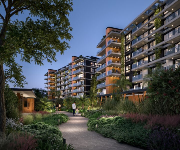 PROYECTO | Vivi Carrasco con Green Concept!