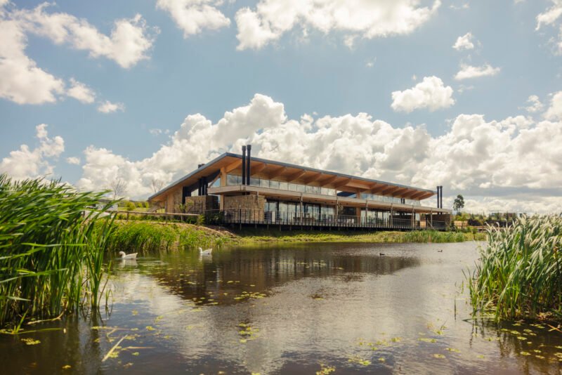 Proyecto | Los Olivos de los Horneros