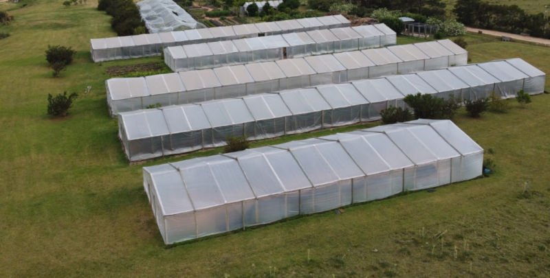 PROYECTO | Lomas de San Vicente, Punta del Este