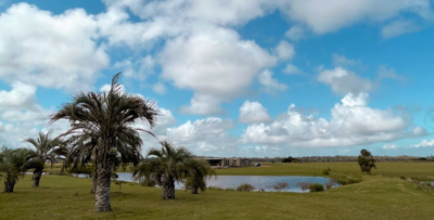 PROYECTO | Lomas de San Vicente, Punta del Este