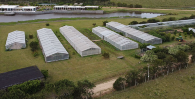 PROYECTO | Lomas de San Vicente, Punta del Este