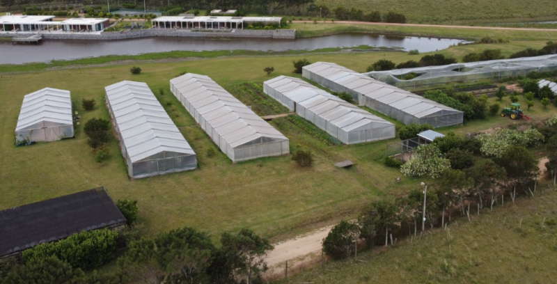 PROYECTO | Lomas de San Vicente, Punta del Este