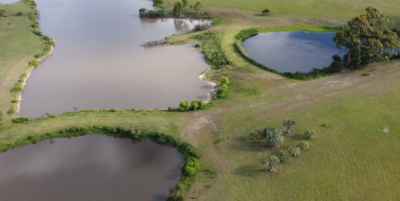 PROYECTO | Lomas de San Vicente, Punta del Este