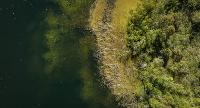 PROYECTO | Grou Aruma, Lagos de Carrasco