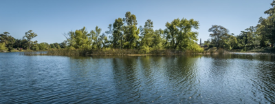 PROYECTO | Grou Aruma, Lagos de Carrasco