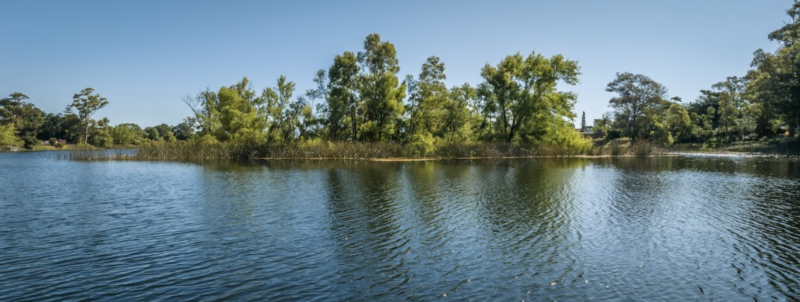 PROYECTO | Grou Aruma, Lagos de Carrasco