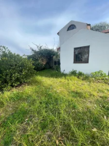 Casa En Venta 4 Dormitorios | 680 M2 De Terreno | San José De Carrasco