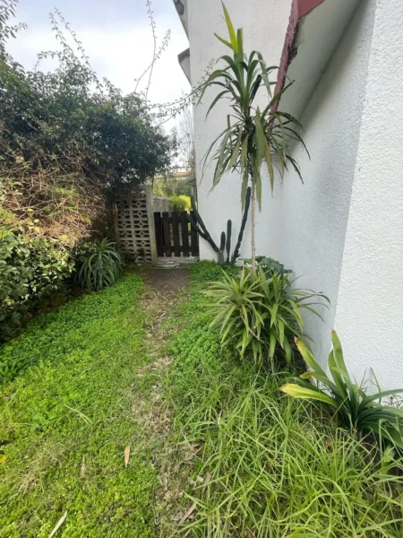 Casa En Venta 4 Dormitorios | 680 M2 De Terreno | San José De Carrasco