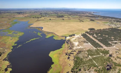 PROYECTO | Laguna del Cisne - Reserva de Chacras/ Canelones