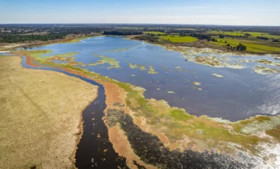 PROYECTO | Laguna del Cisne - Reserva de Chacras/ Canelones