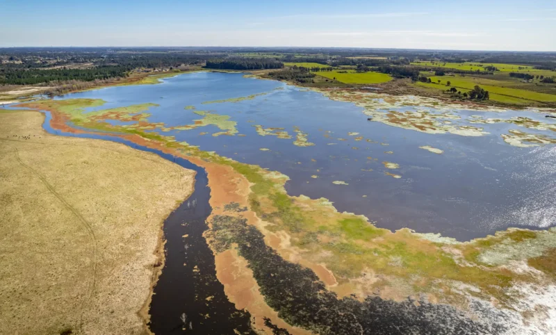 PROYECTO | Laguna del Cisne - Reserva de Chacras/ Canelones