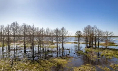 PROYECTO | Laguna del Cisne - Reserva de Chacras/ Canelones