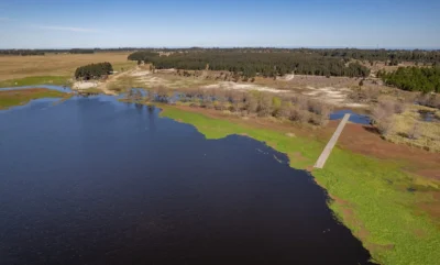 PROYECTO | Laguna del Cisne - Reserva de Chacras/ Canelones