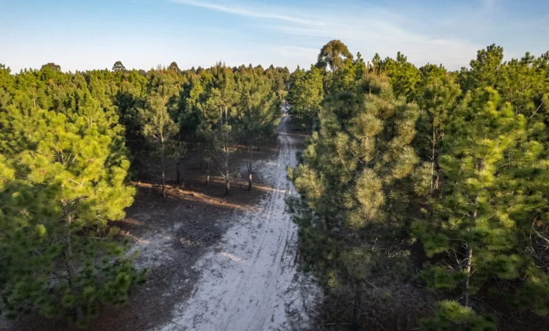 PROYECTO | Laguna del Cisne - Reserva de Chacras/ Canelones