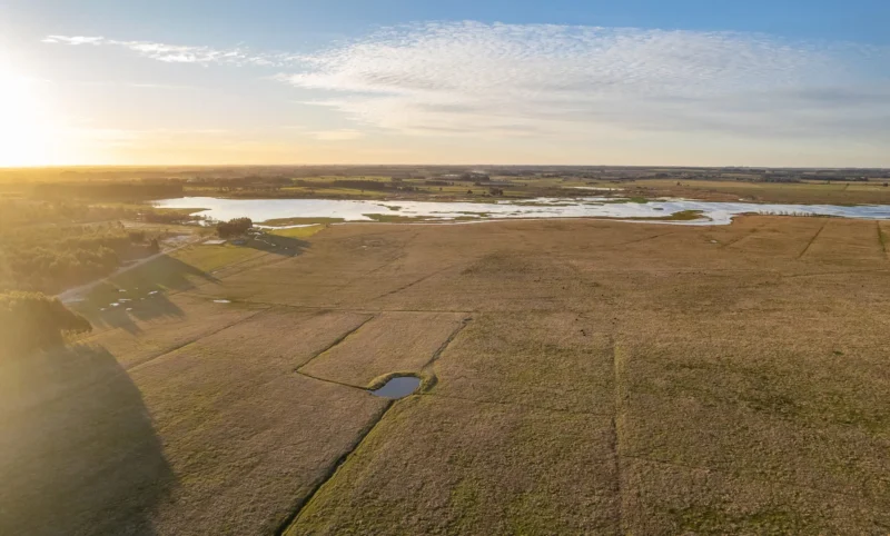 PROYECTO | Laguna del Cisne - Reserva de Chacras/ Canelones
