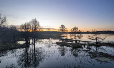 PROYECTO | Laguna del Cisne - Reserva de Chacras/ Canelones
