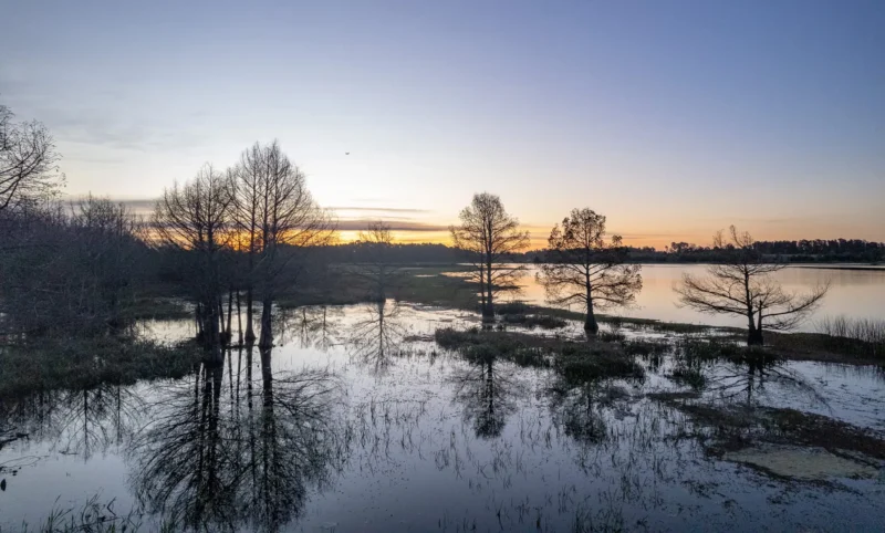 PROYECTO | Laguna del Cisne - Reserva de Chacras/ Canelones