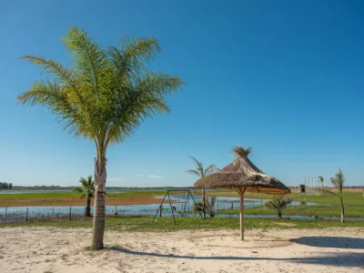 PROYECTO | Laguna del Cisne - Reserva de Chacras/ Canelones