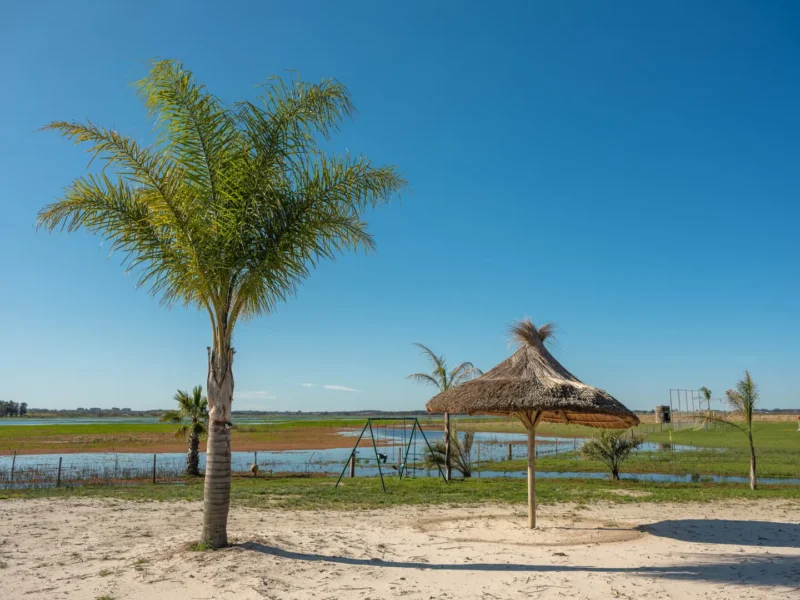 PROYECTO | Laguna del Cisne - Reserva de Chacras/ Canelones