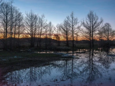 PROYECTO | Laguna del Cisne - Reserva de Chacras/ Canelones