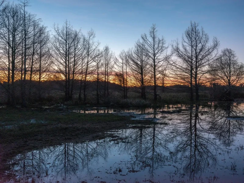 PROYECTO | Laguna del Cisne - Reserva de Chacras/ Canelones