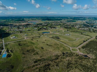 Proyecto | Los Olivos de los Horneros