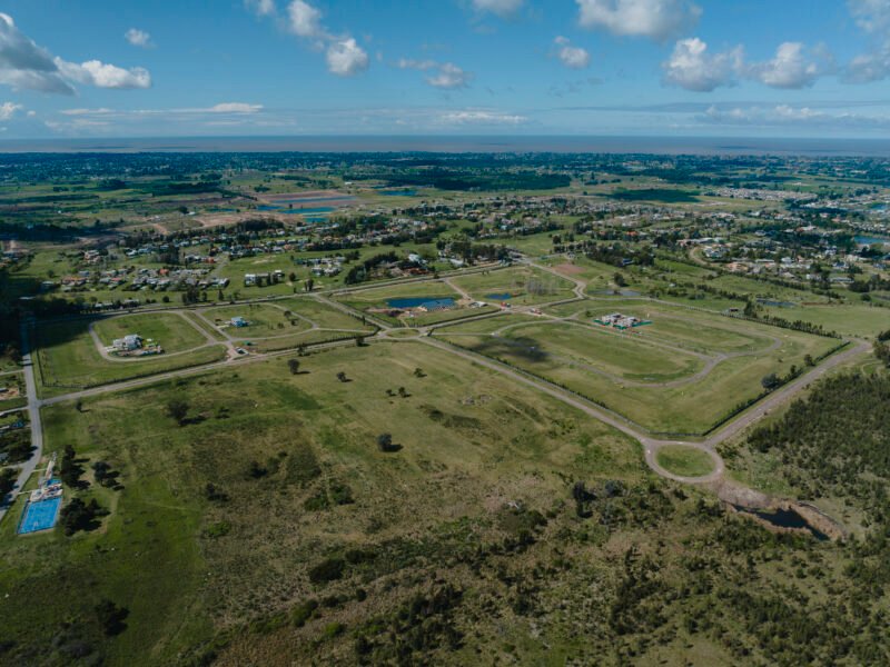 Proyecto | Los Olivos de los Horneros