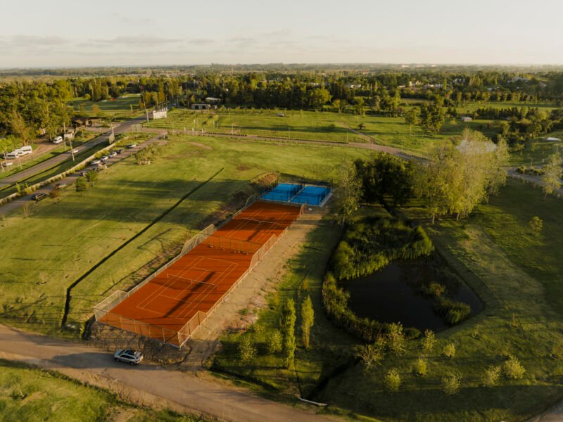 Proyecto | Los Olivos de los Horneros