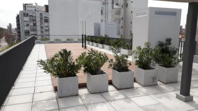 PROYECTO | 01 Parque Batlle