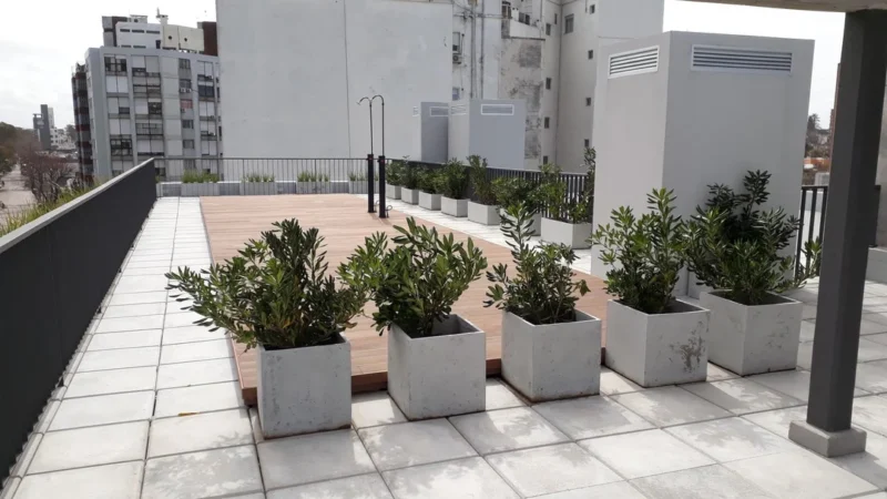 PROYECTO | 01 Parque Batlle