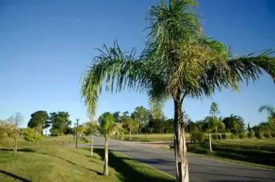 Oportunidad | Terreno De 1159m2 En Cumbres De Carrasco
