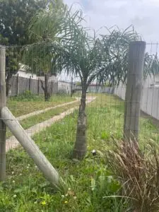 Terreno en Venta frente a Car One! IDEAL INVERSION
